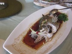 清蒸桂鱼-宁波汉通海鲜大酒店(江湾店)