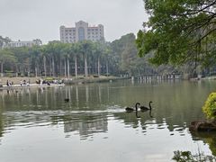 -厦门大学(思明校区)