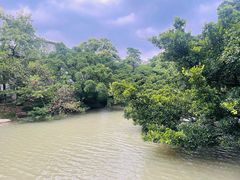 -江心屿景区