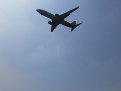 -空港花田景区