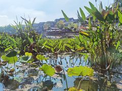 -茅山东方盐湖城景区
