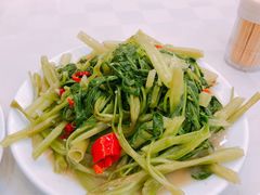 炒通菜-焕记海鲜饭店