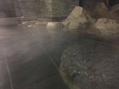 -大连大和馆观山阁温泉酒店