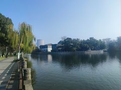 -月湖公园