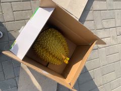-盒马鲜生(大成店)