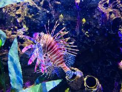 -太平洋海底世界