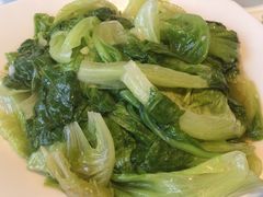 蒜泥生菜-沈厅酒家(周庄店)