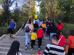 -神光山国家森林公园