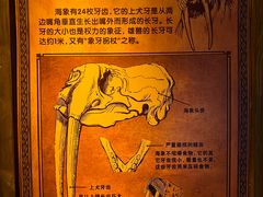 -波塞冬海底世界