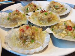 大连獐子岛扇贝（只）-日进一片海.生腌海鲜火锅.宵夜烧烤(三里屯总店)