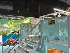 -上海大自然野生昆虫馆(东方明珠·爬宠昆虫探索中心)