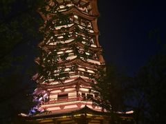 -洋湖国家湿地公园
