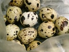 -合味道娟姨美食(堑头店)