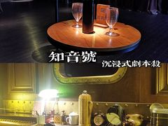 -武汉知音号