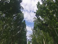 -秀水公园