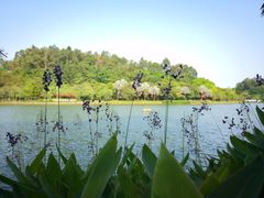 -南国桃园旅游度假区