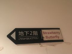 -Strawberry Butterfly草莓蝴蝶日式水果挞