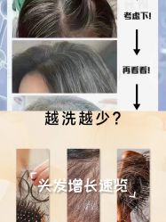 -Bollins波林丝•专研护发中心