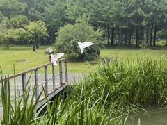 -洛阳市隋唐城遗址植物园