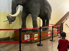 -国家自然博物馆