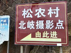 -北岐滩涂