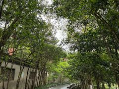 -八卦田遗址公园