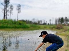 -白鹭湾湿地公园