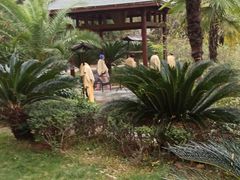 -咸宁万豪温泉谷度假区