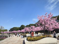 -新江湾城公园