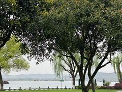 -杭州西湖柳莺里酒店·闻莺厅