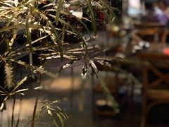 -同仁四季椰子鸡(海岸城天利店)