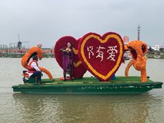 -荷兰花海