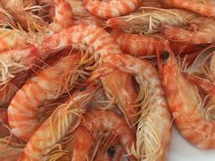 -渔民船说·北塘海鲜·天津菜·海肠捞饭(北塘古镇店)