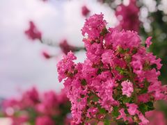 -杭州城北体育公园