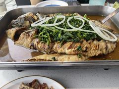 -鱼酷活鱼烤鱼(仙林金鹰店)