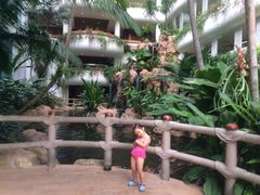 iphone_upload_pic-新加坡香格里拉