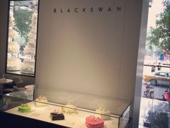 -BLACKSWAN黑天鹅(环球店)