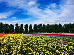 -富田农场
