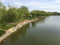 -大兴滨河森林公园