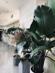 -DX HAIR SALON·发现未知美发沙龙