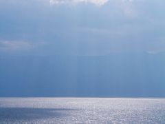 -洱海月湿地公园