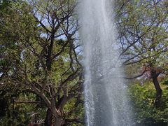 -九龙公园