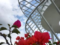 -光明小镇欢乐田园
