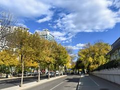 -沐春秋茶书院·茶室.茶馆.商务包房(知春路店)