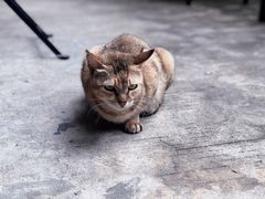 -转山咖啡(松柏社区店)