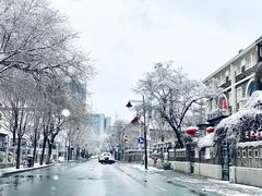 -天津五大道文化旅游区