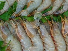 -万宝海鲜舫(劳动公园店)