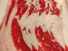 -额尔敦涮肉自助(摩尔城店)
