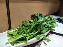 香菜-海底捞火锅(金光华店)