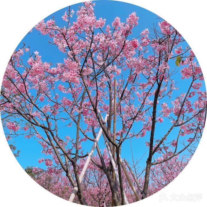 叱石风景区图片